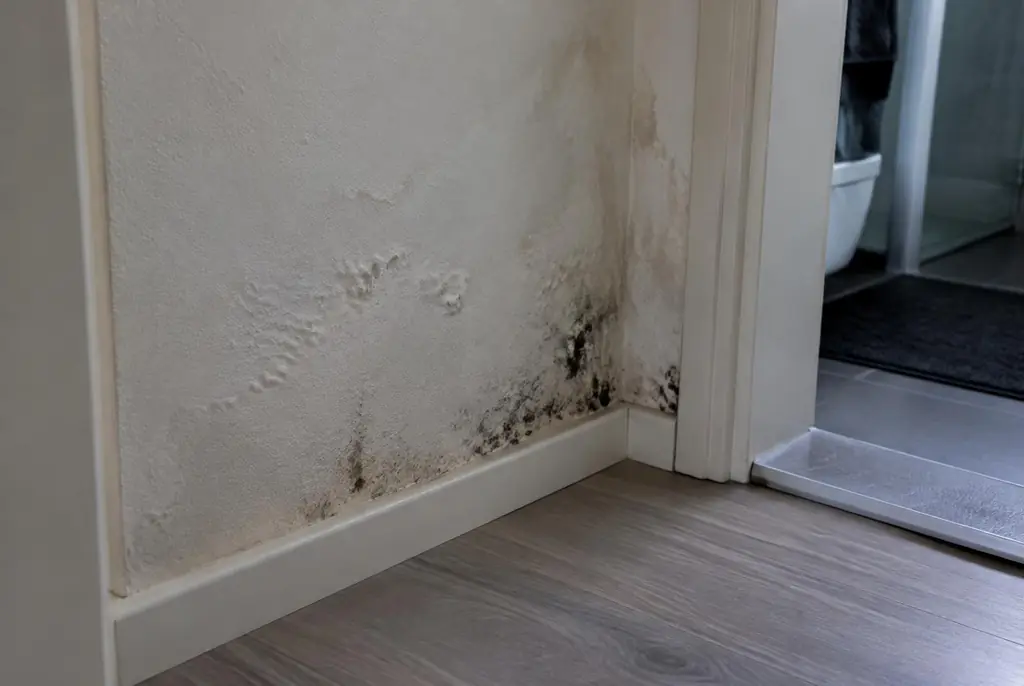 Lekdetectie Diemen – vochtplek met schimmel op een muur